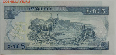 Эфиопия 5 бырр 2017 г. С рубля! до 18.03.26 - DSCN2518.JPG