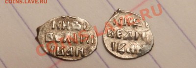 3 чешуйки на оценку и определение - DSCN1322