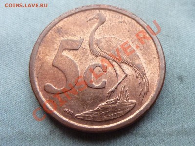 ЮЖНАЯ АФРИКА 5с 2009г.ЦАПЛЯ до 10.03.12г. в 22-00. - MEMO0019.JPG