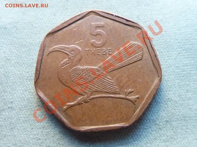С РУБЛЯ БОТСВАНА 5 THEBE 2009г.ПТИЧКА до 10.03.12г. в 22-00. - MEMO0064.JPG