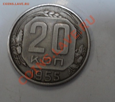3 пушкиных ММД и 15 СНГ - DSC03759.JPG
