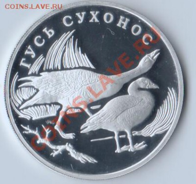 03в23.30 по МСК - 3