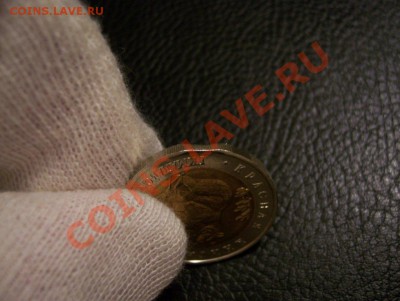 Выкус на 50 руб. Гималайский медведь 93г. до 22.00 09.03.12 - 100_5629
