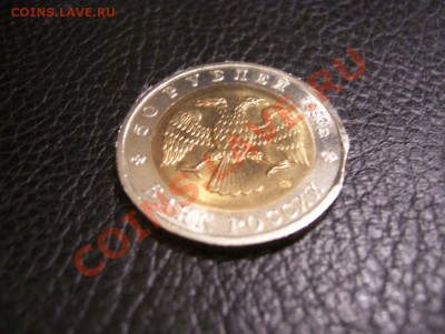Выкус на 50 руб. Гималайский медведь 93г. до 22.00 09.03.12 - 100_5602