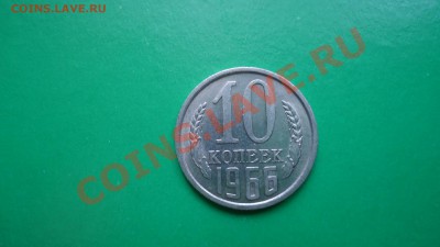 оценка - DSC00656.JPG