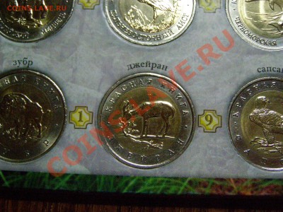 !!!КРАСНАЯ КНИГА!!! ПОЛНЫЙ НАБОР !!!В СОХРАНЕ!!! 9.03.12г - 7.JPG