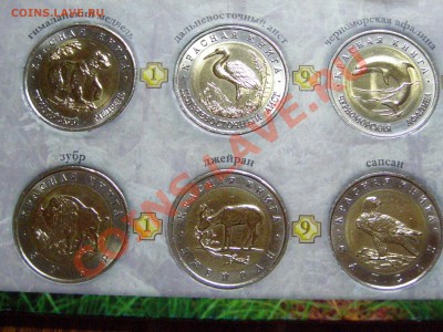 !!!КРАСНАЯ КНИГА!!! ПОЛНЫЙ НАБОР !!!В СОХРАНЕ!!! 9.03.12г - 8.JPG