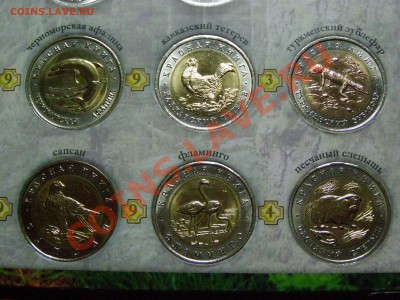 !!!КРАСНАЯ КНИГА!!! ПОЛНЫЙ НАБОР !!!В СОХРАНЕ!!! 9.03.12г - 9.JPG