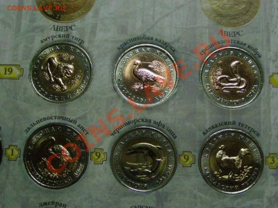 !!!КРАСНАЯ КНИГА!!! ПОЛНЫЙ НАБОР !!!В СОХРАНЕ!!! 9.03.12г - 10.JPG