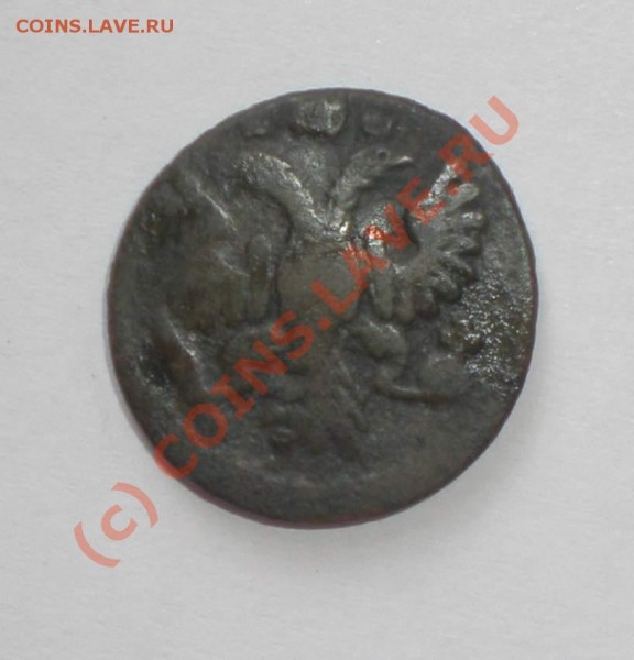 Полушка 1735 года, орел 1730года - P7240093_thumb