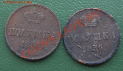 слабенькие полушки 1854 ЕМ, 1856 ЕМ до 10.03 до 22.00 по Мск - полушки_1