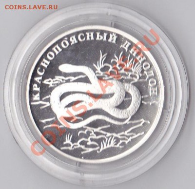 1р Краснопоясный динодон (красная книга 2007г) - IMGirjkj7_0017