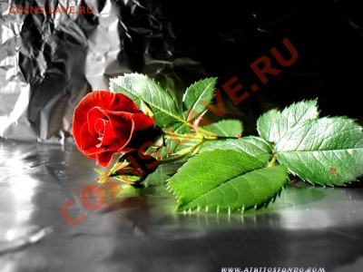 8 марта! - 12049733193211-admin