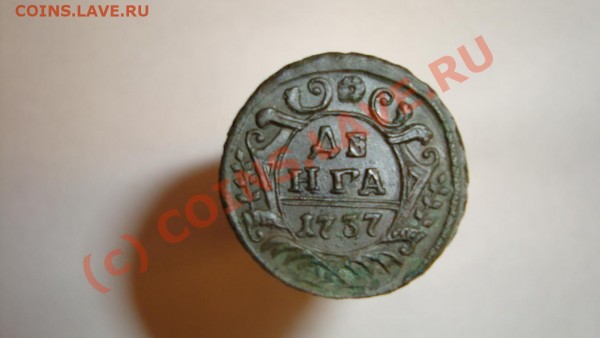 денга 1737г на оценку - DSC01531.JPG