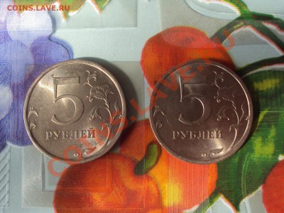 50 коп 2011 разные? - DSC06204.JPG