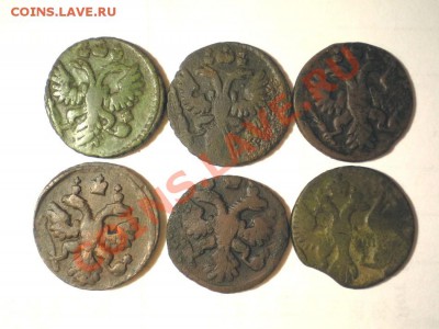 полушка 1731,34,36,37,39,47г. до 11.03.12. в 22.00 мв - P1010004.1
