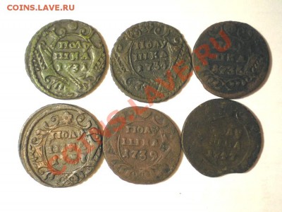 полушка 1731,34,36,37,39,47г. до 11.03.12. в 22.00 мв - P1010003.1