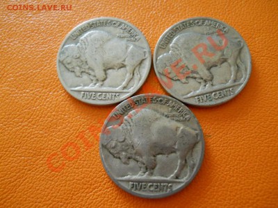 США 5 центов, Буффало 3 шт. С рубля! До 15.03.12. 22-00 - 1.JPG