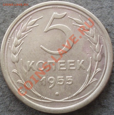 5 коп 1955 - P3108209