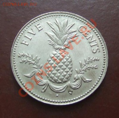 БАГАМСКИЕ О-ВА 5 центов (1984) до 12.03. (21.30) - Багамы 5 центов Р