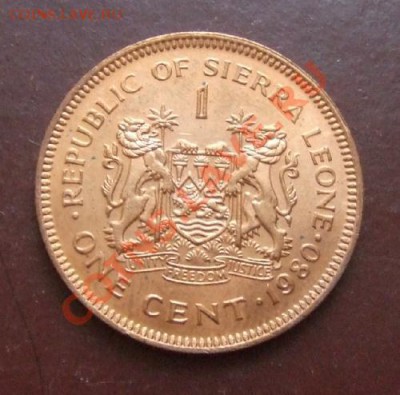 СЬЕРРА-ЛЕОНЕ 1 цент (1980) до 12.03. (21.30) - Сьерра 1 ц. Р