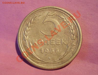 5 коп 1955 узлы Б - P3118260