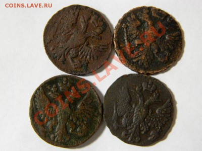4шт  денги  1739,1748,1750,1751. предпродажная - DSCN0930.JPG