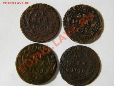 4шт  денги  1739,1748,1750,1751. предпродажная - DSCN0931.JPG
