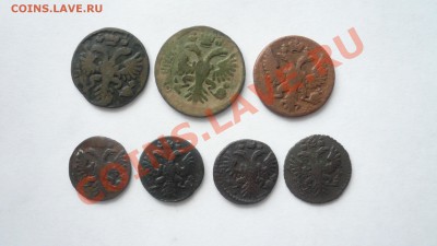 Деньга 3 шт.(1731,1749,1737) и полушки 4 шт. 1731,34,35,36 г - P1090482.JPG