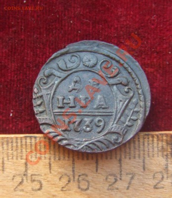 денга 1731.денга 1739-оценка.обсуждение. - денга 39-1