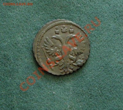 Полушка 1734 г. (Оливковая патина) до 15.03.12 в 22:00 - DSC05041.JPG