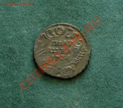 Полушка 1734 г. (Оливковая патина) до 15.03.12 в 22:00 - DSC05039.JPG