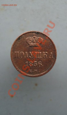 полушка 1856 ем до 22:00 19.03.12. - DSC01054.JPG
