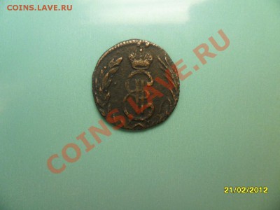 денга сибирская 1771 до 15 марта - SAM_9832.JPG