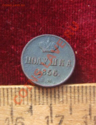 полушка 1856ем-оценка - полушка-1