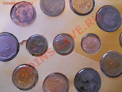 Egyptian Coins Collection. Окончание в 21.00, 16.03.2012. - 2