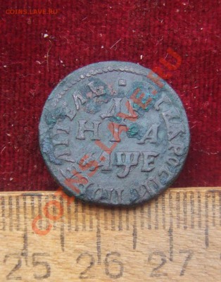 петровки-денги.полушка.копейка-1704-1711гг--оценка - еще денга05-1