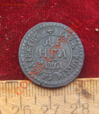 петровки-денги.полушка.копейка-1704-1711гг--оценка - денга04-1