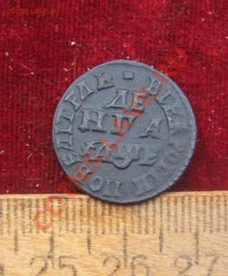 петровки-денги.полушка.копейка-1704-1711гг--оценка - денга05-1