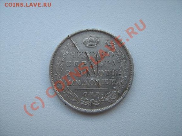 Трупы! Слабонервным не смотреть! - ПОЛТИНА2 +.JPG