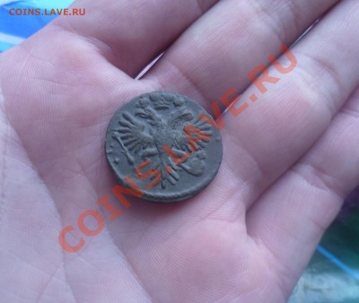 ДЕНГА 1731 (ОДНА ЧЕРТА) ОЦЕНКА, - P1020151.JPG