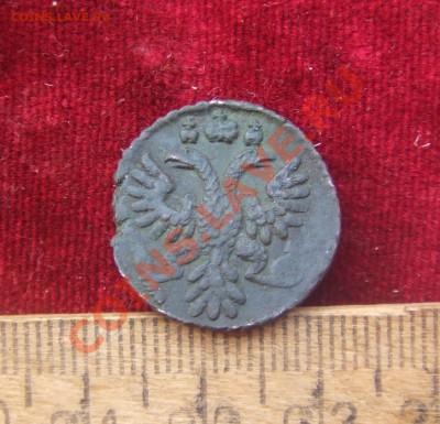 полушка 1735.полушка 1734-перечекан с крестовой 29г-оценка - пол35-2