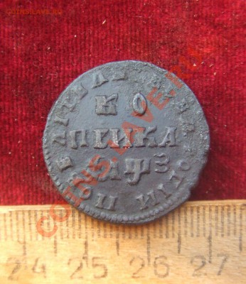 петровские копейки 1707.8.9.15гг-оценка.опознание - 4коп-1