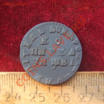 петровские копейки 1707.8.9.15гг-оценка.опознание - 1коп-1