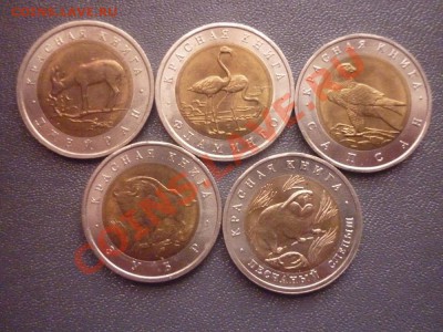 Набор Красная книга 1994 г 5 монет до 22.00 мск 17.03.2012 - P1130271.JPG