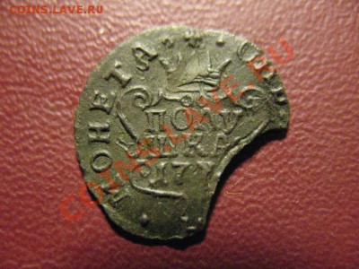 Полушка сибирская БРАК до 22.03.2012 21-00мск - сиб 009