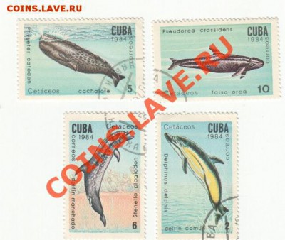 Обмен марок на монеты - Scan-111225-0005